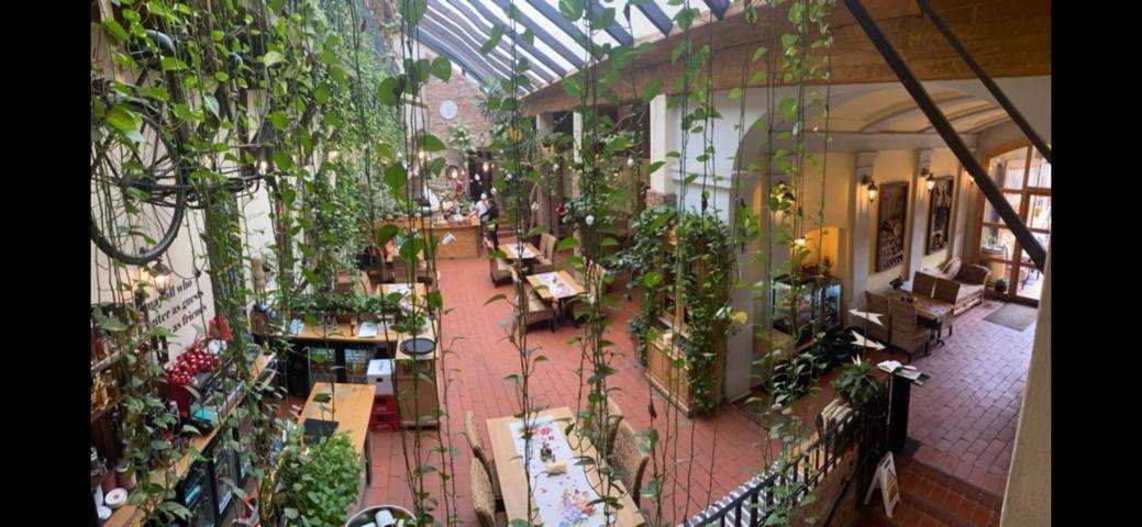 Pensiunea Gasthaus Alte Post ซิวิโชอารา ภายนอก รูปภาพ