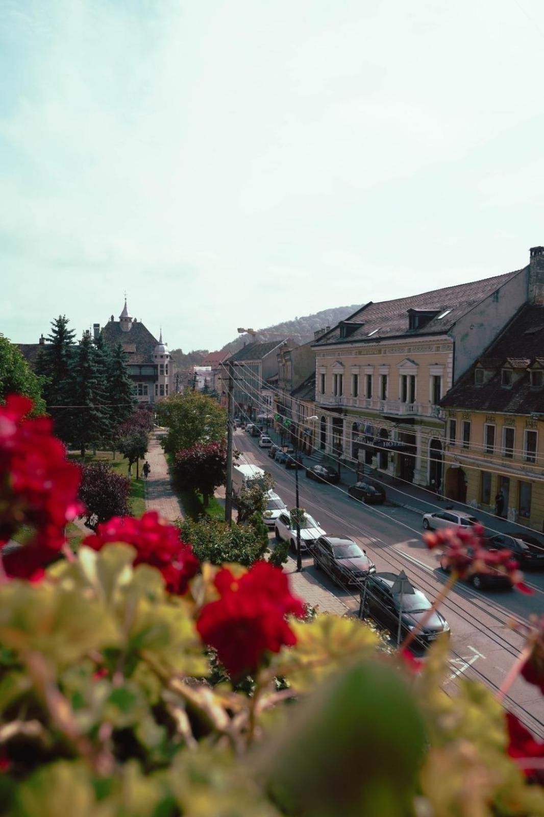 Pensiunea Gasthaus Alte Post ซิวิโชอารา ภายนอก รูปภาพ
